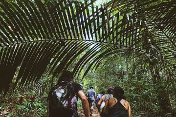 Ecotours