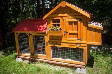 Pet-friendly