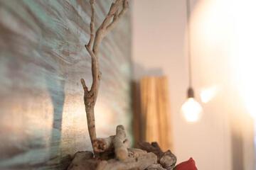 Photo 48