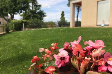 Photo 29