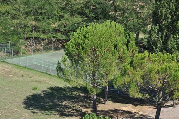 Tennis court