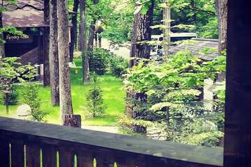Garden