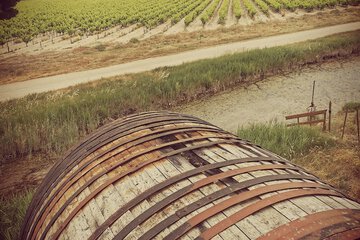 Vineyard
