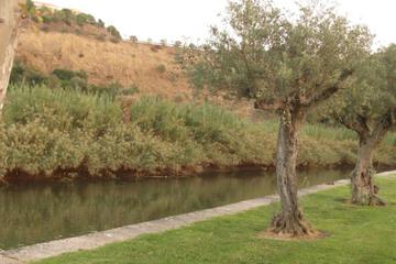 Photo 53