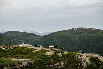 Hiking
