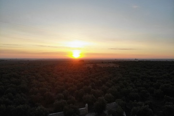 Park view