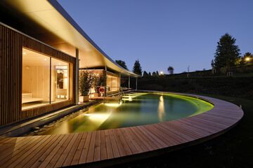 Natural pool