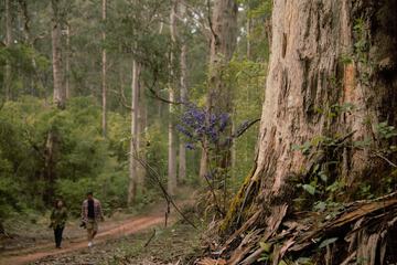 Hiking