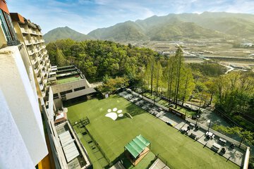 Park view