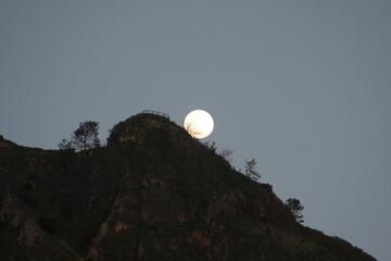 Photo 36