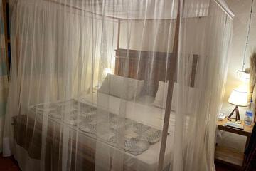 Photo 36