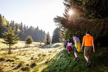 Hiking