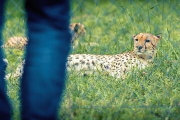 Ecotours