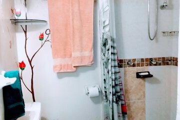 Bathroom shower