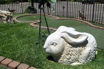 Children's activities