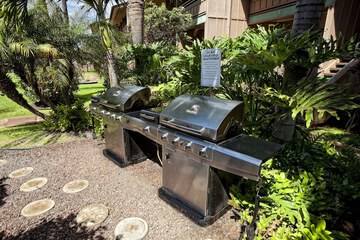 BBQ/picnic area