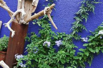 Photo 27