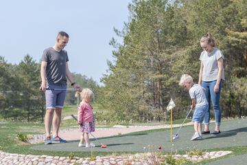 Mini-golf