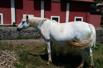 Photo 33