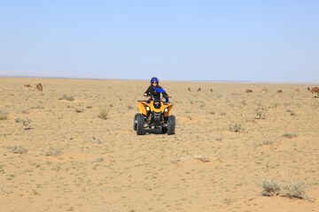 Ecotours