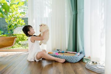 Pet-friendly