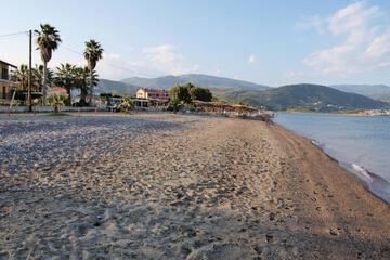 Photo 42