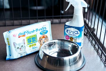Pet-friendly amenities