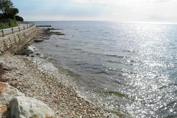 Photo 49