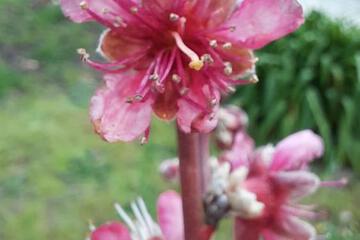 Photo 49