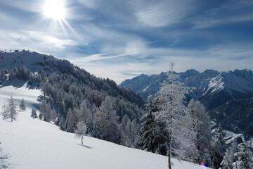 Photo 44