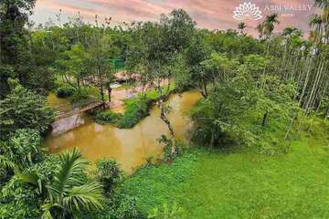 Natural pool