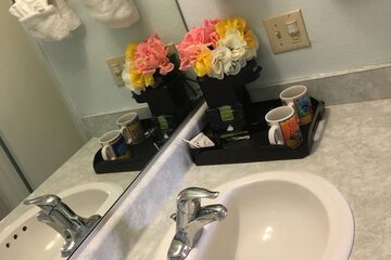 Bathroom sink