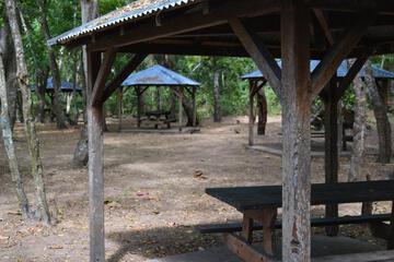 Photo 46