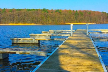 Dock