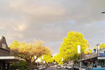 Photo 23