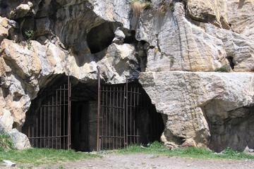 Photo 22