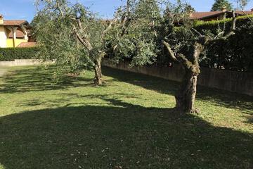 Photo 37