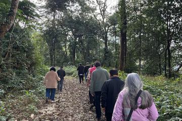 Hiking
