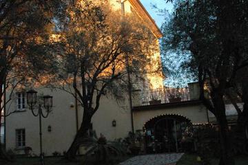 Photo 81