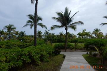 Photo 55