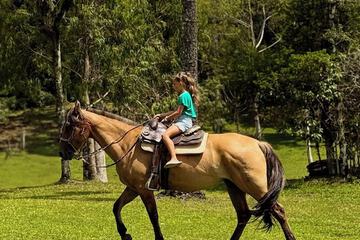 Horseback riding