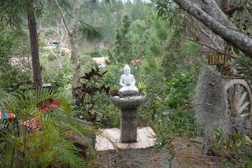 Photo 57