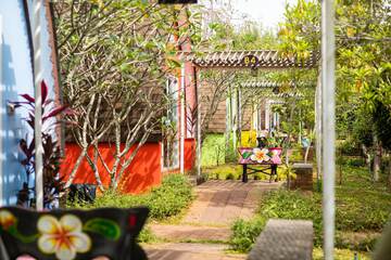 Garden view