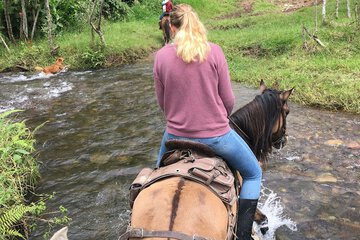 Horseback riding