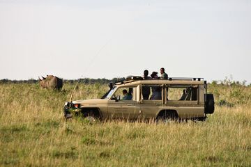 Safari