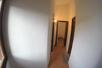 Photo 56