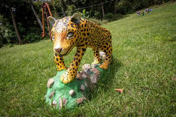 Photo 24