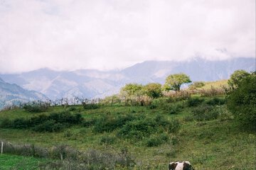 Ecotours