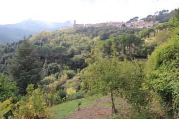 Photo 37