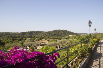 Land view from property